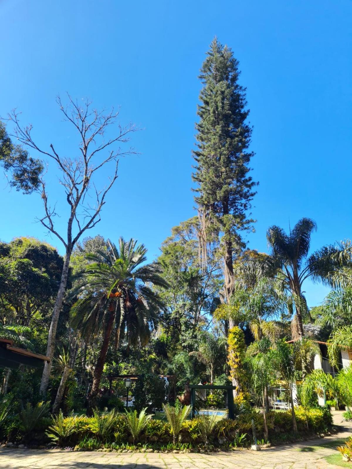 Pousada Villa Jambo Petrópolis Buitenkant foto