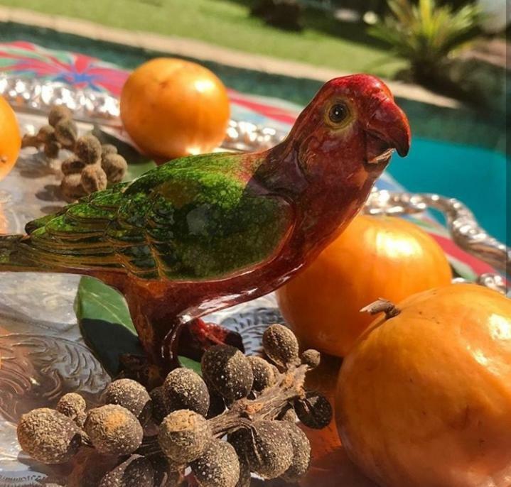 Pousada Villa Jambo Petrópolis Buitenkant foto